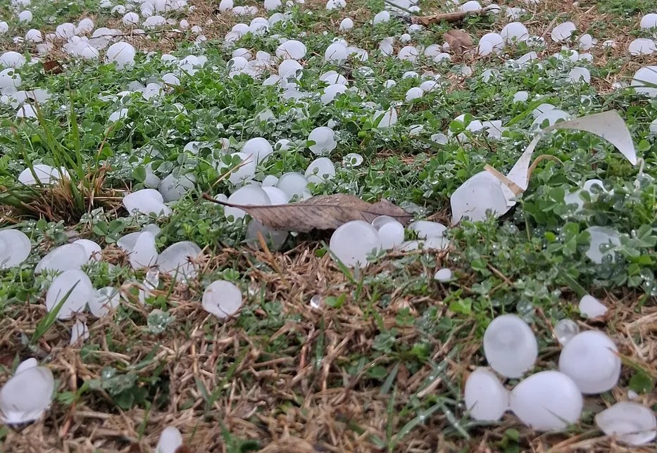 “Brutal granizada”: videos muestran tormenta en Artigas que causó daños en una localidad