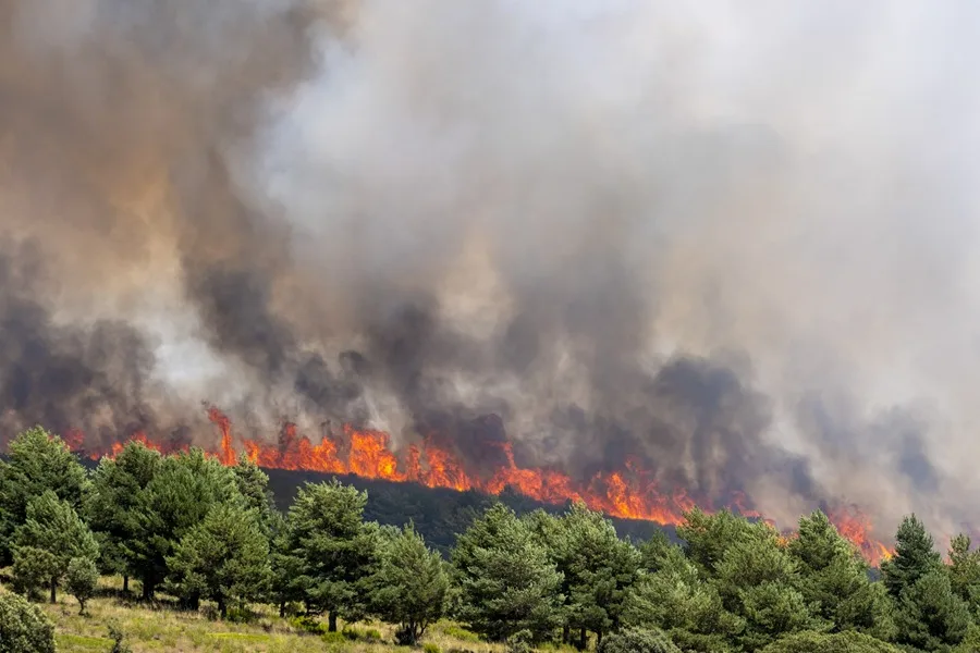 Incendios en España: se empiezan a contener los flancos del de Guadalajara, que se encuentra a 5 km de Soria